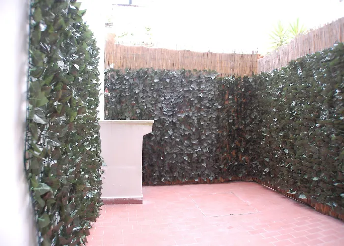 Bed & Breakfast Porta San Frediano 3*